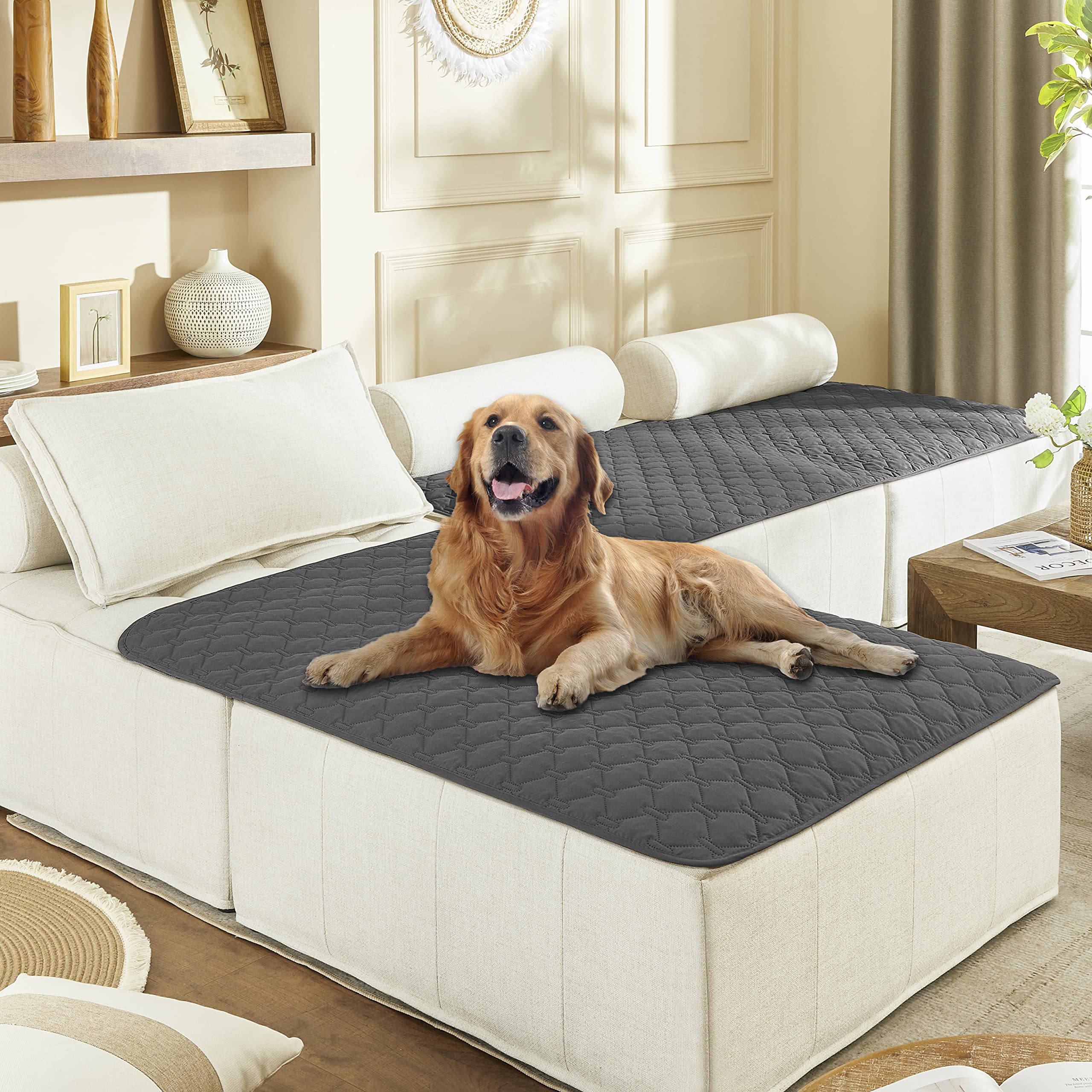 Gogobunny double-sided waterproof bed cover protects furniture from spills.