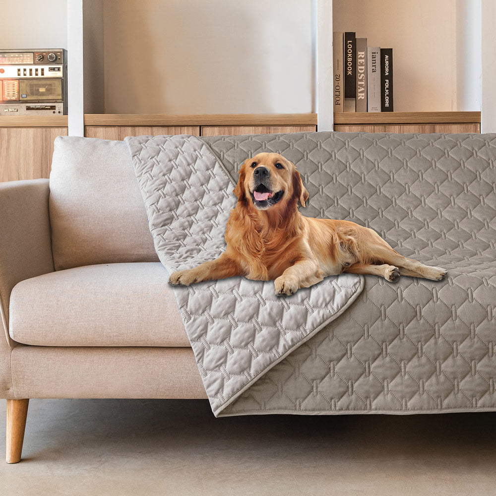 Gogobunny double-sided waterproof blanket with durable outer layer protects furniture.