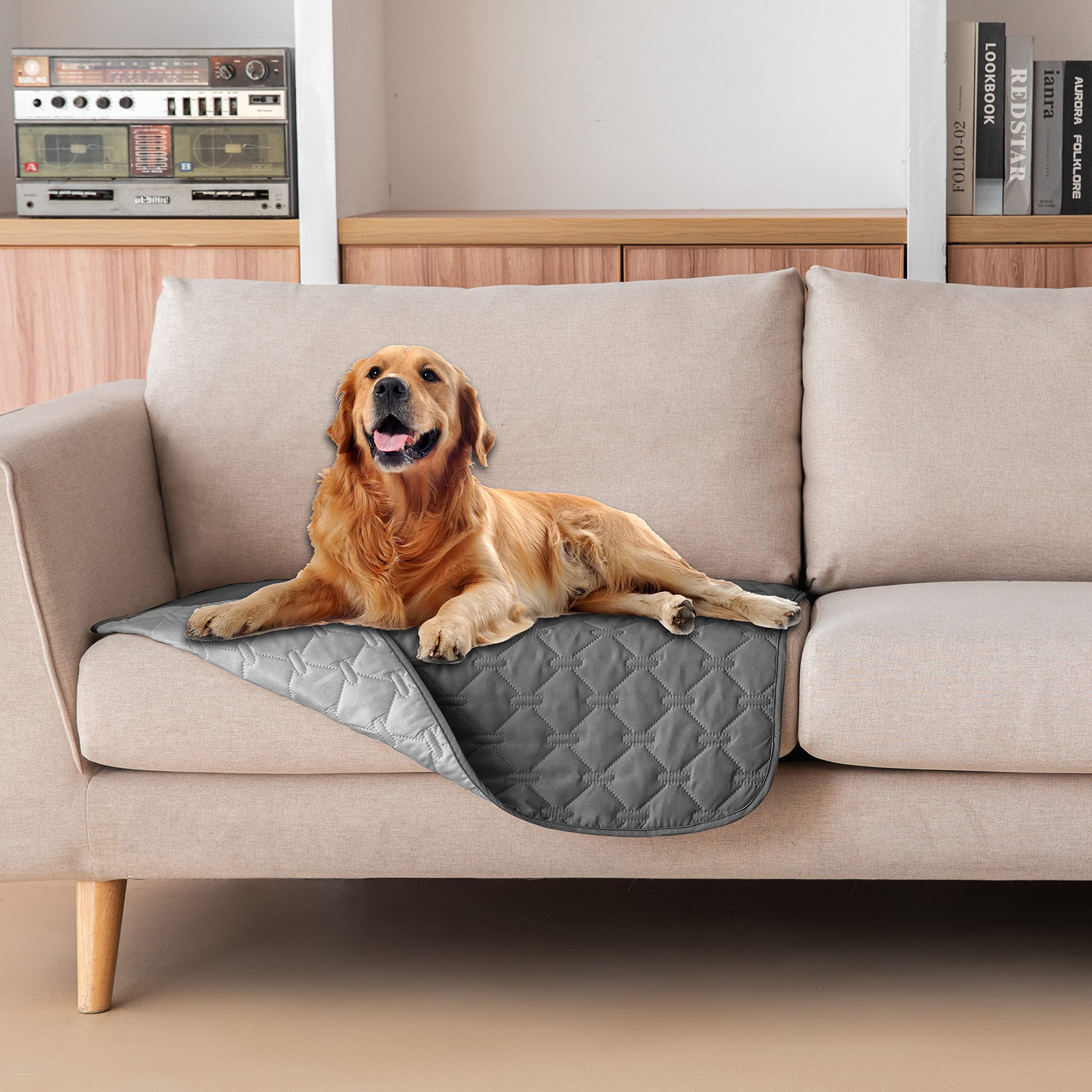 Gogobunny double-sided waterproof dog bed cover protects furniture from accidents