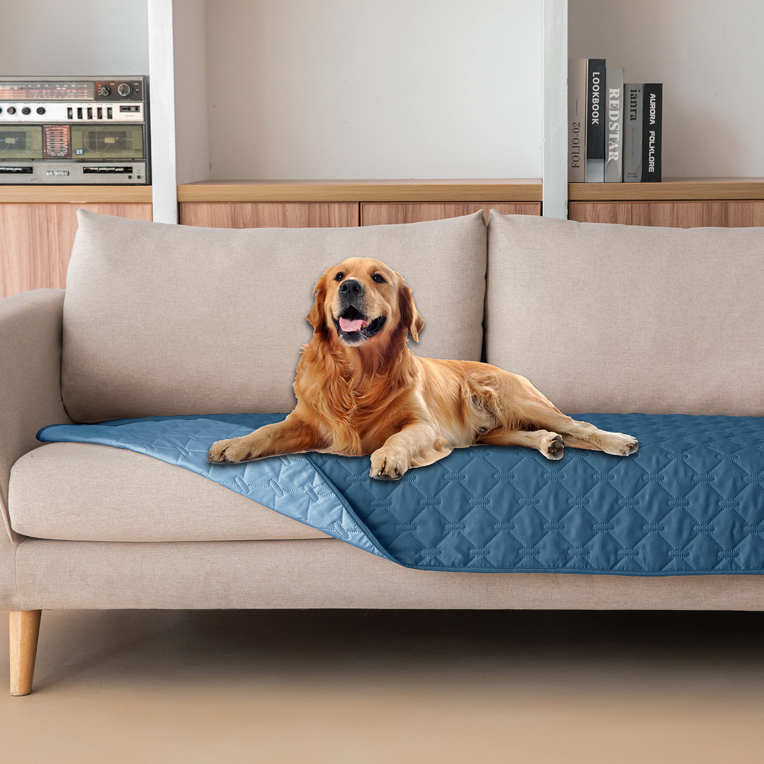Gogobunny double-sided waterproof dog bed cover protects furniture from spills.