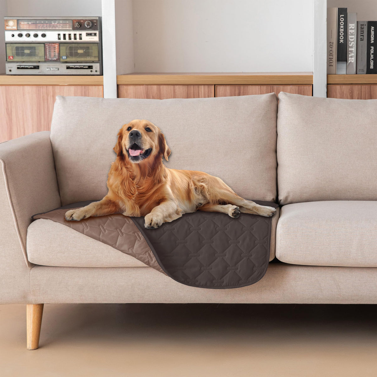 Gogobunny double-sided waterproof dog blanket protects furniture from spills