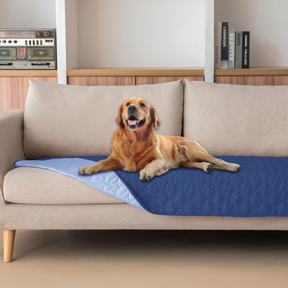 Gogobunny double-sided waterproof dog blanket in dark navy offering durable spill protection.