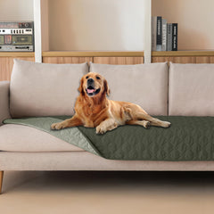 Gogobunny double-sided waterproof blanket on sofa protects furniture.