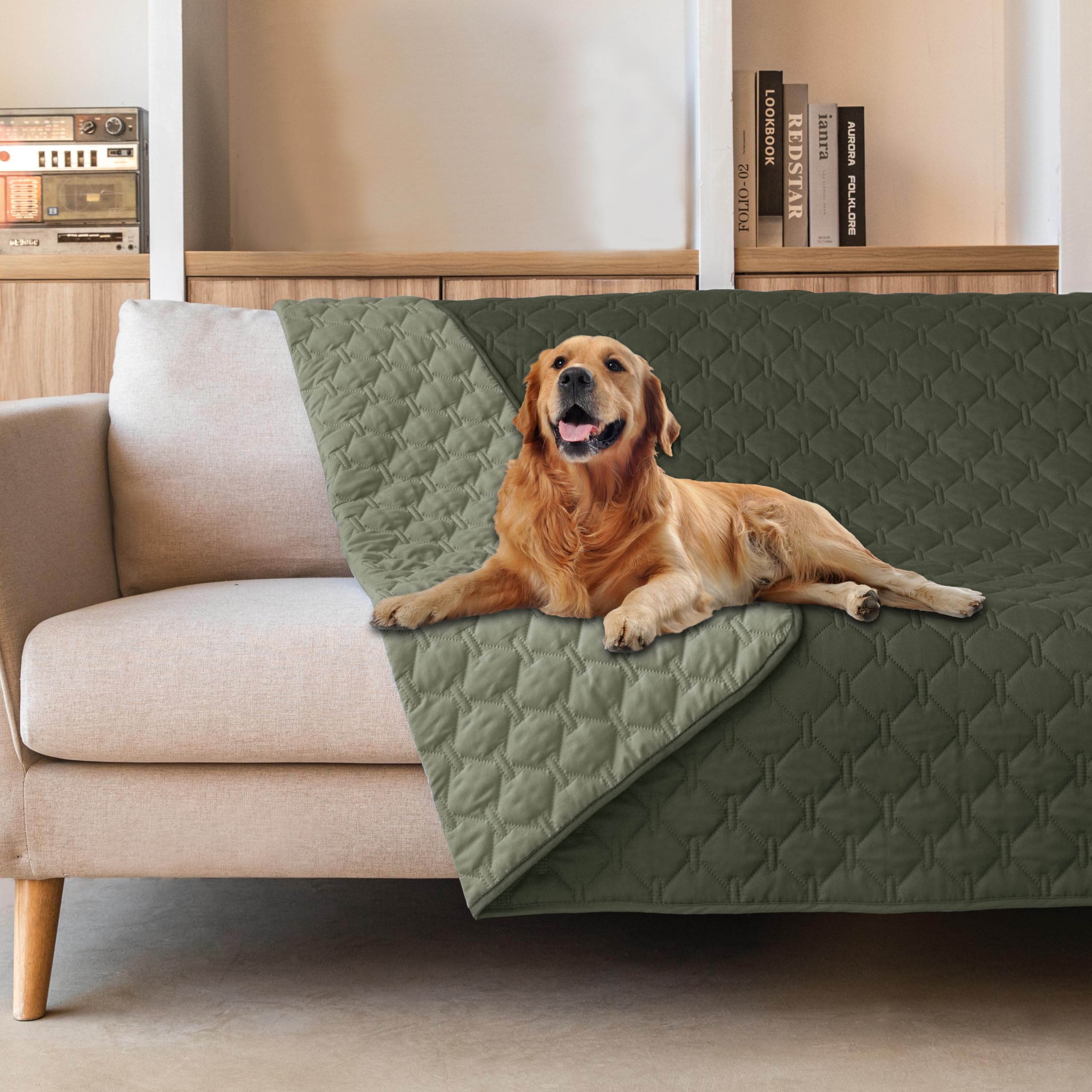 Gogobunny double-sided waterproof dog blanket protects furniture from spills and accidents