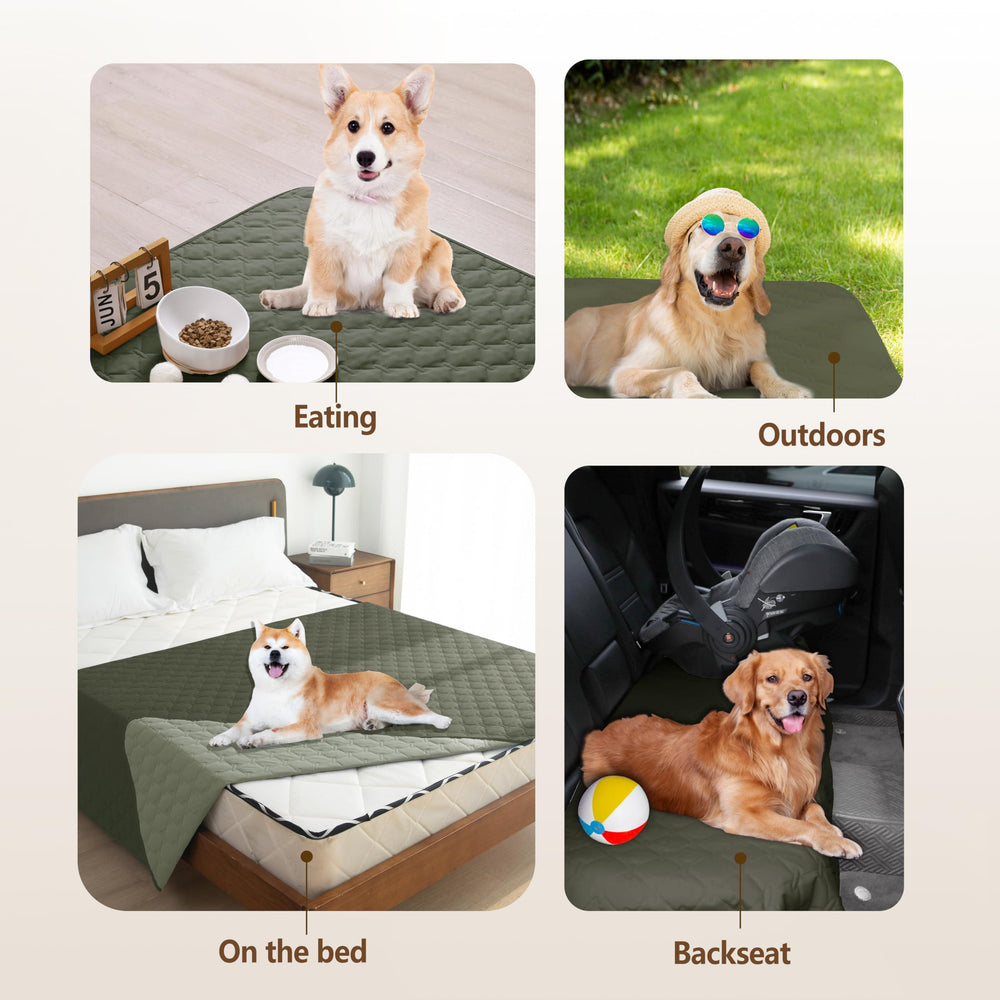 Gogobunny blanket protecting furniture against scratches and saliva.