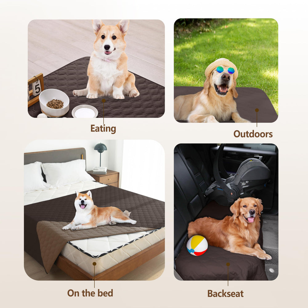 Gogobunny furniture-protector blanket shields sofas from scratches and drool.