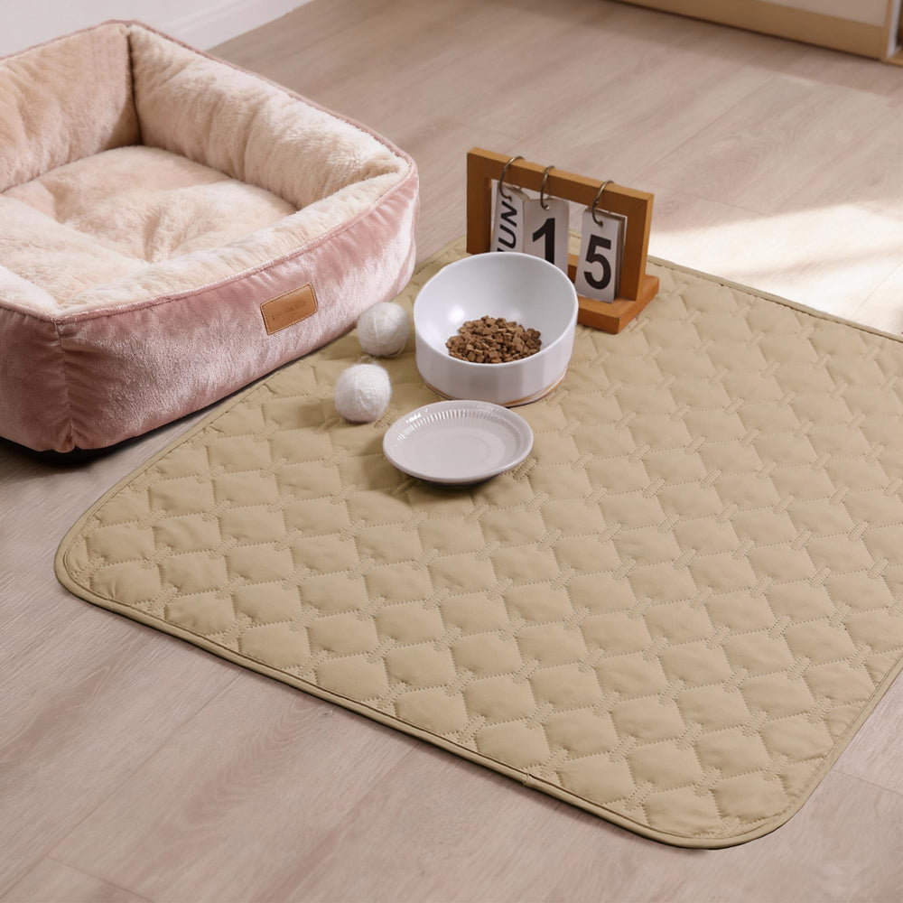 Gogobunny double-sided blanket shields sofas from saliva and scratches.