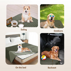 Gogobunny indoor-outdoor blanket is travel-ready for pets.