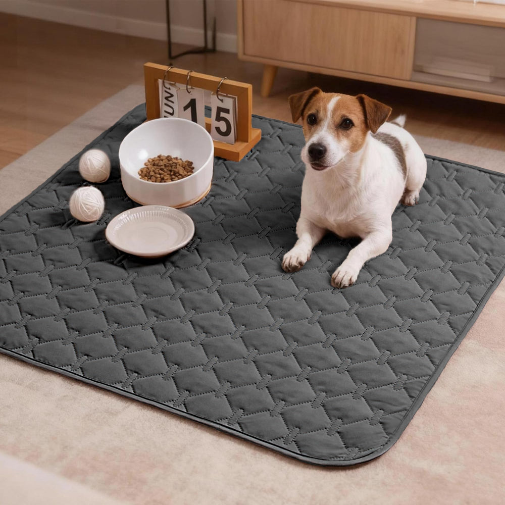 Gogobunny indoor outdoor blanket folds easily for travel and picnics