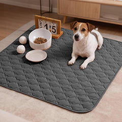 Gogobunny indoor outdoor blanket folds easily for travel and picnics
