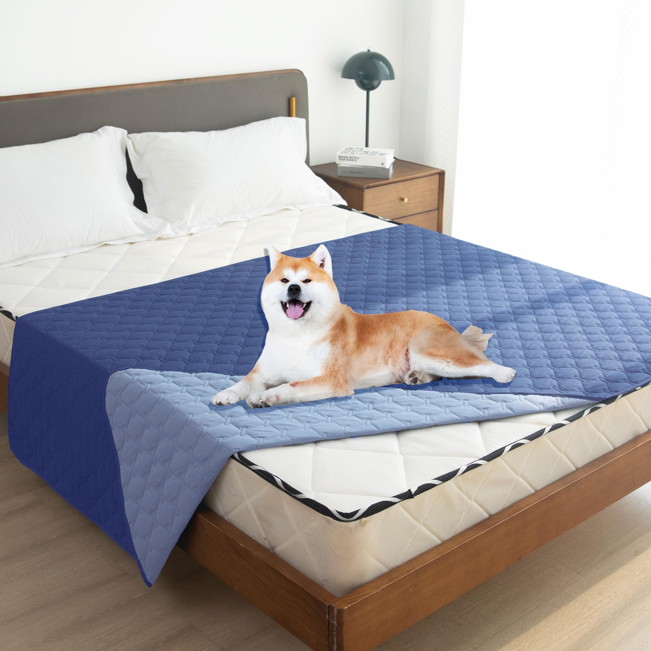 Gogobunny indoor-outdoor blanket ideal for home use or travel adventures