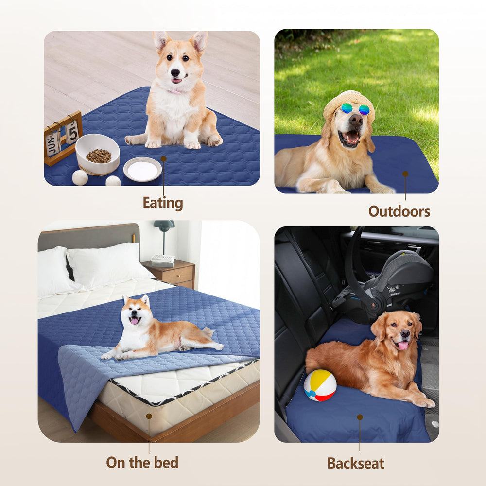 Gogobunny machine-washable dog blanket at 86°F for easy cleaning.