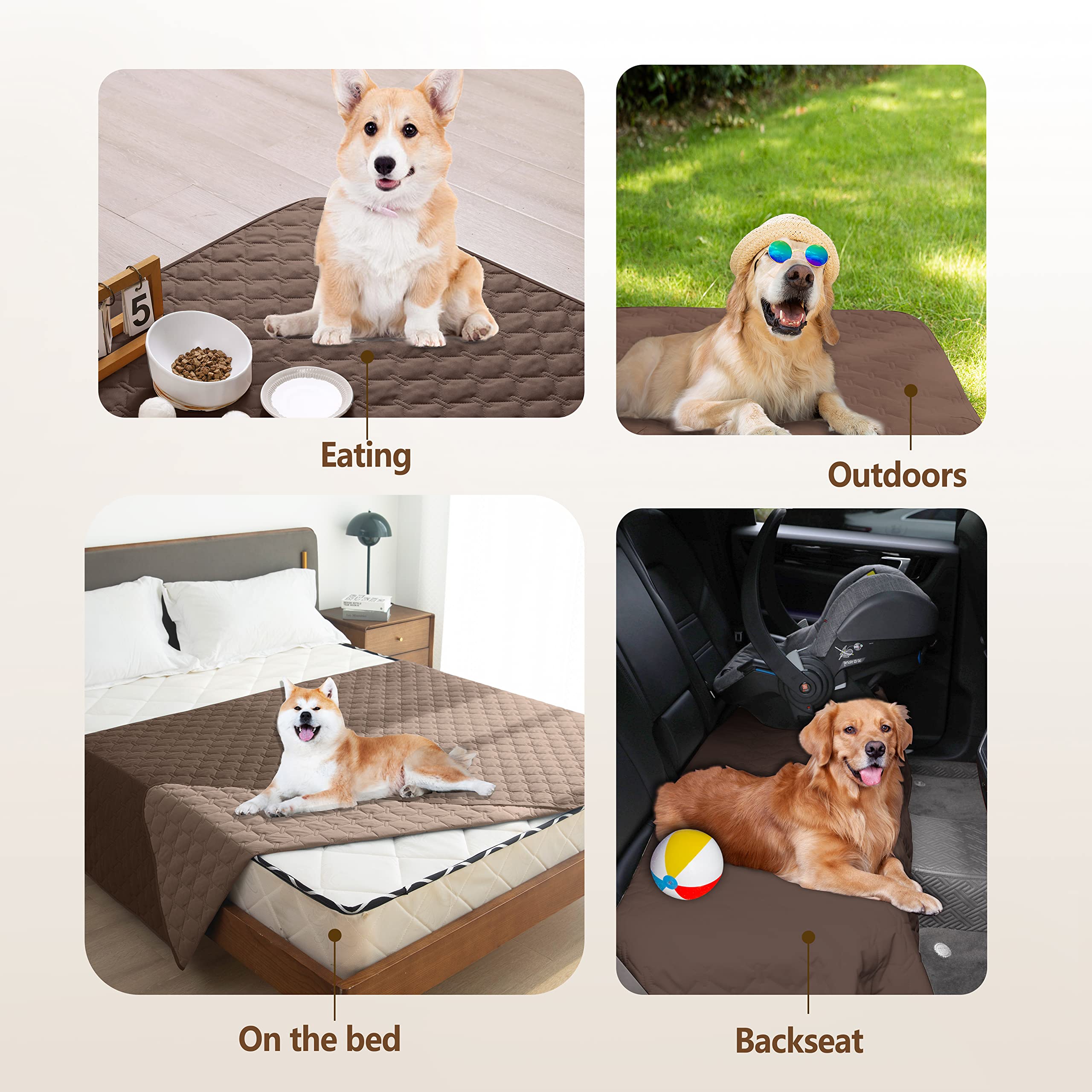 Gogobunny large blanket covers sofas and beds during cuddly play.
