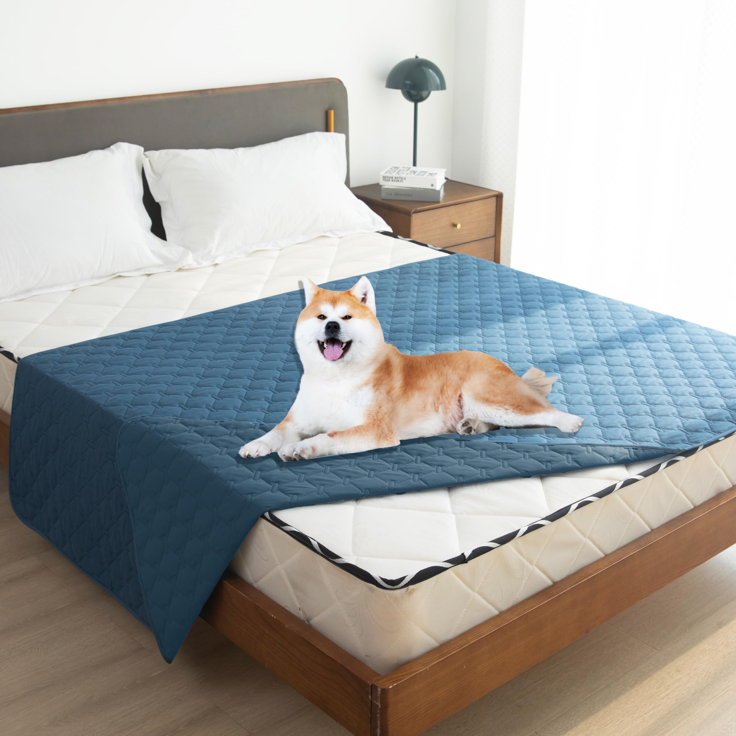 gogobunny pet blanket for couches ideal for daily use