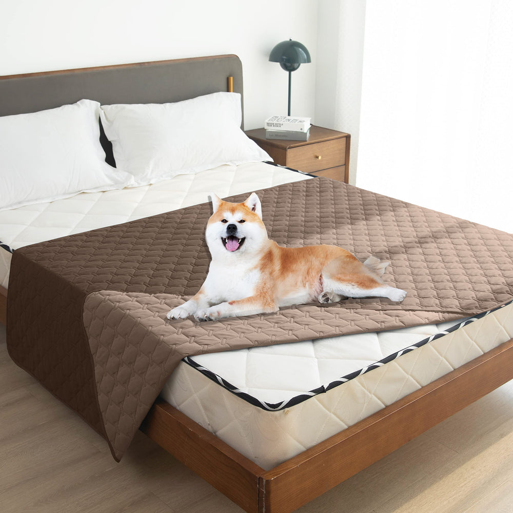 Gogobunny pet blanket folds over furniture, shielding against scratches and saliva.