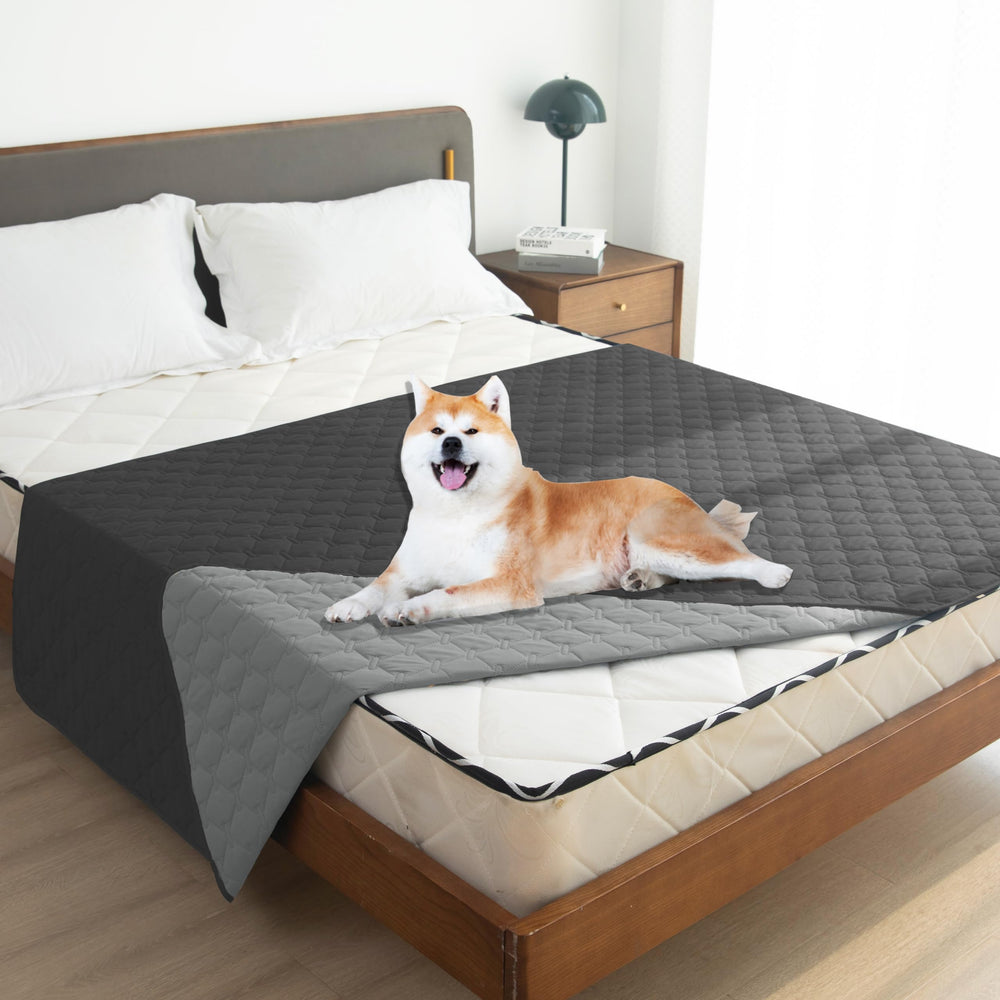 Gogobunny pet blanket ready for indoor or outdoor use and travel.