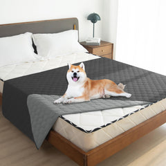 Gogobunny pet blanket ready for indoor or outdoor use and travel.