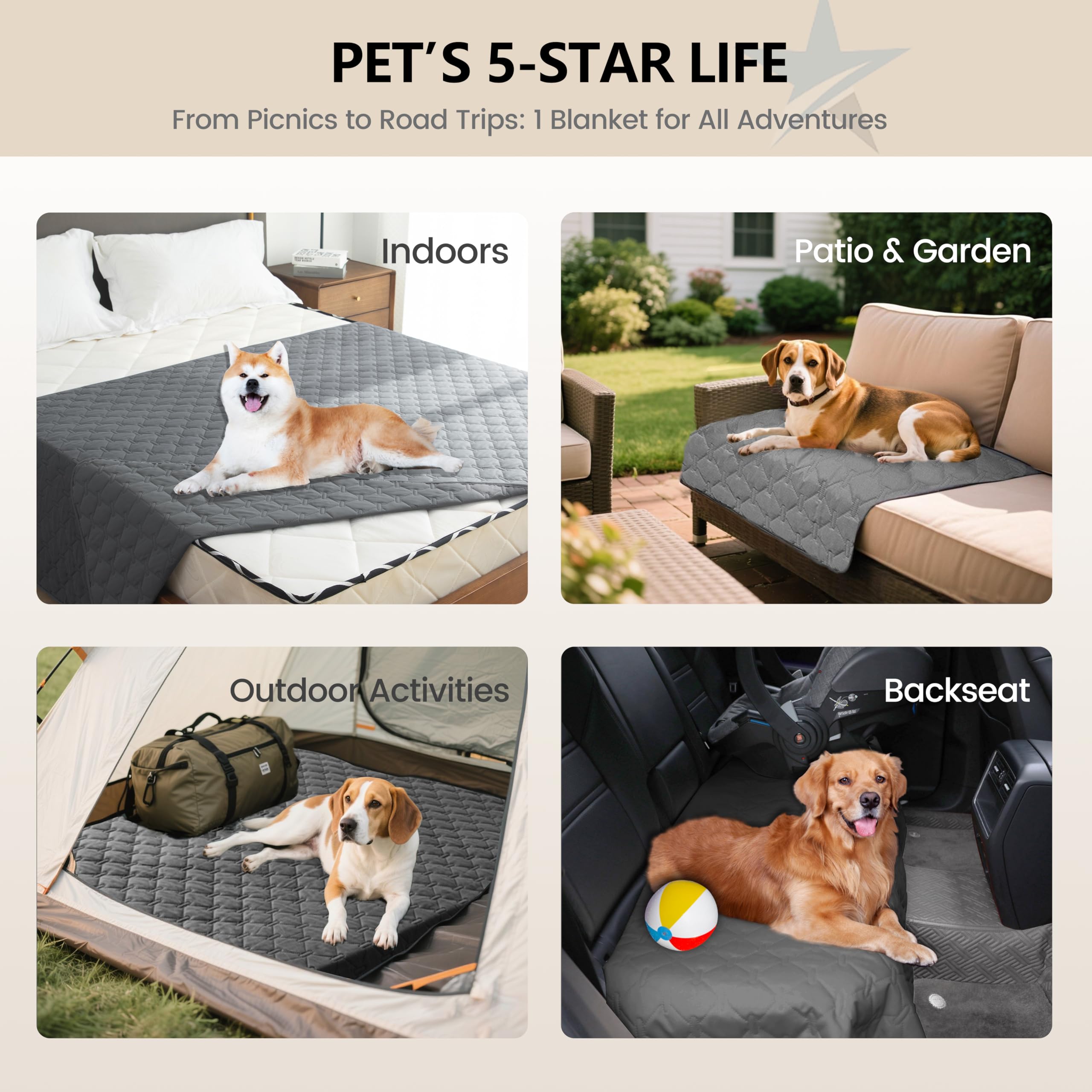 Gogobunny pet blanket on sofa guards against accidents and mud.