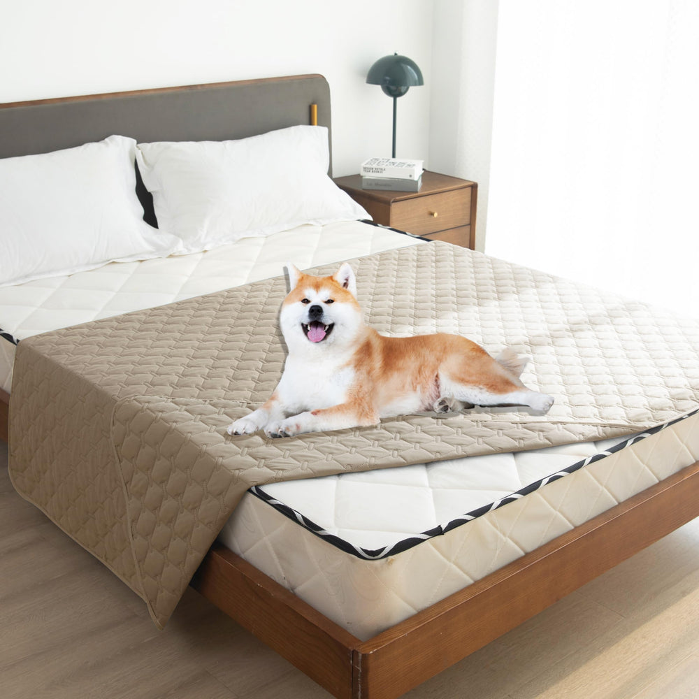 Reversible Gogobunny blanket in two colors complements home decor.