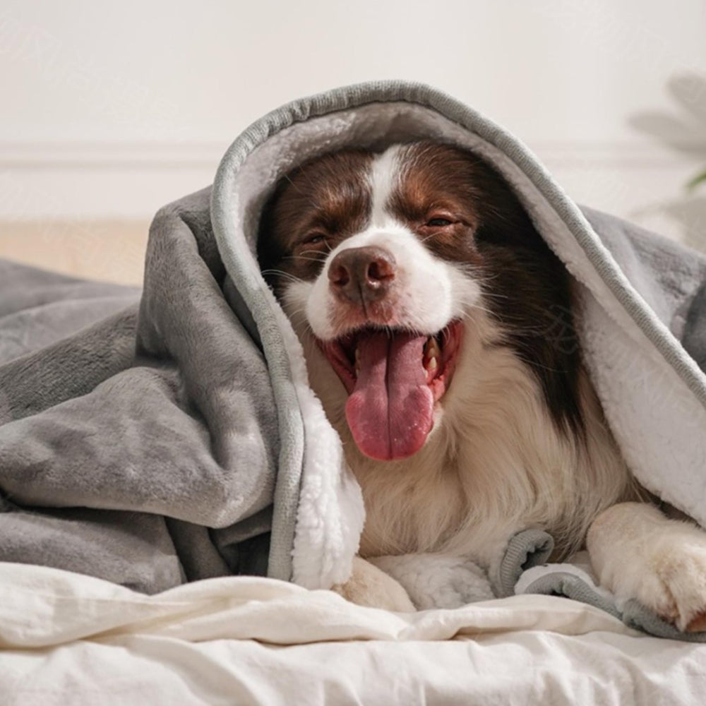 Gogobunny sherpa backing 260gsm adds plush warmth for restful naps