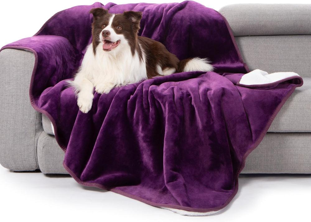 gogobunny waterproof bed blanket dark purple shields beds from spills and stains