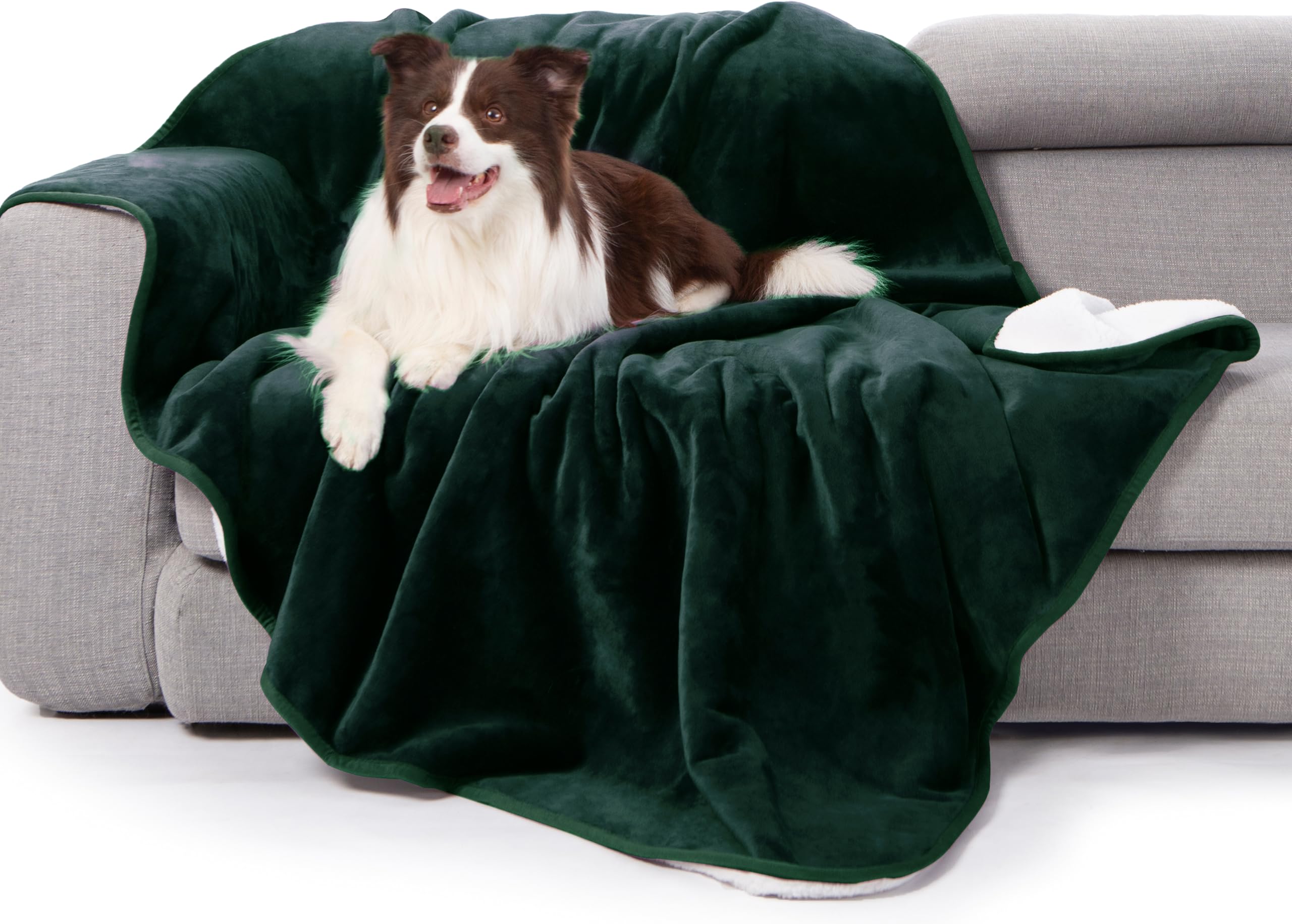 Gogobunny waterproof bed blanket forest green front view, 50x60 inches for bed protection.
