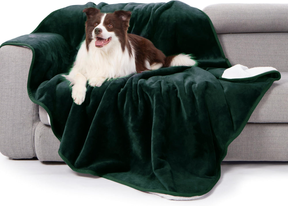 Gogobunny waterproof bed blanket forest green front view, 50x60 inches for bed protection.