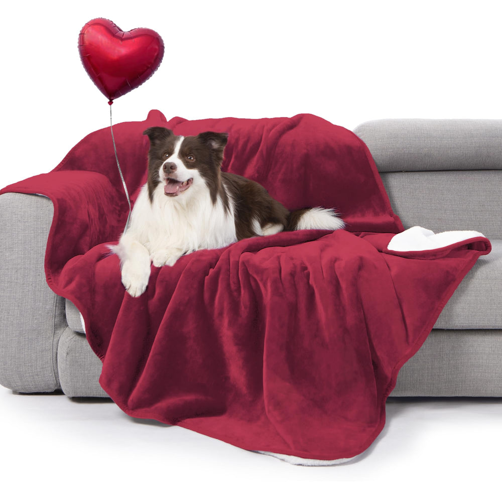 gogobunny waterproof bed blanket overview with spill protection for beds and furniture