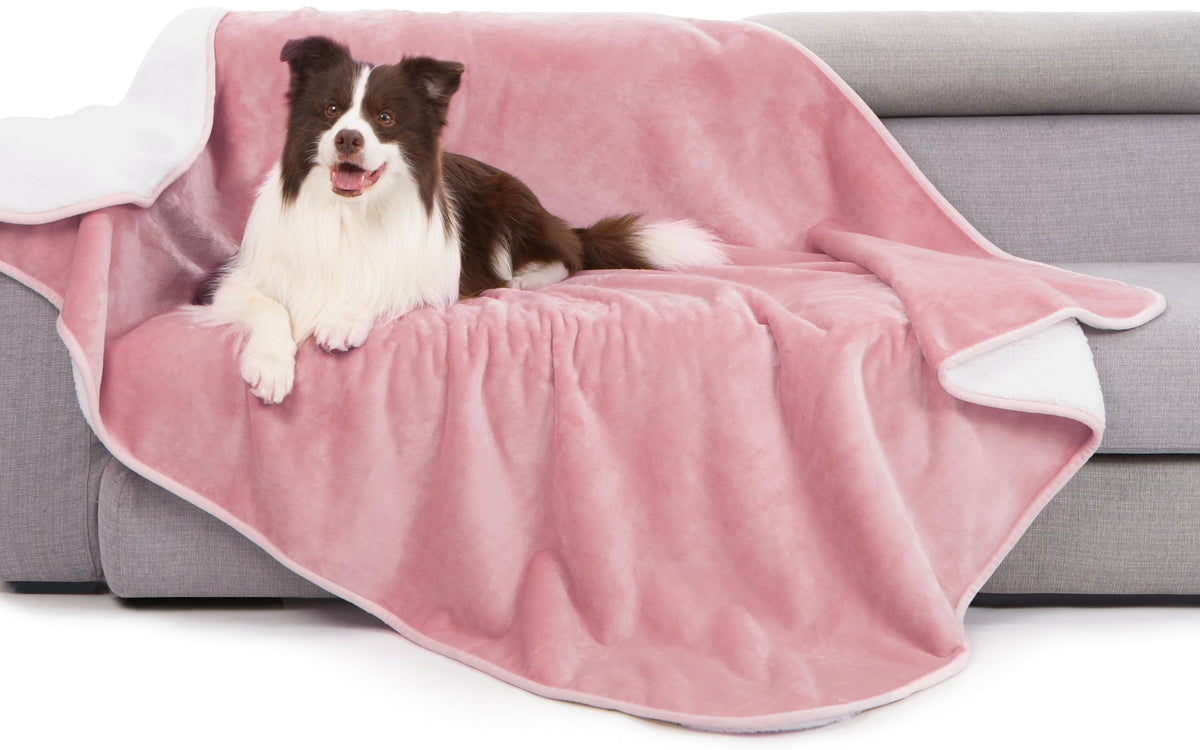 Gogobunny waterproof bed blanket pink, front view, protects furniture from spills.
