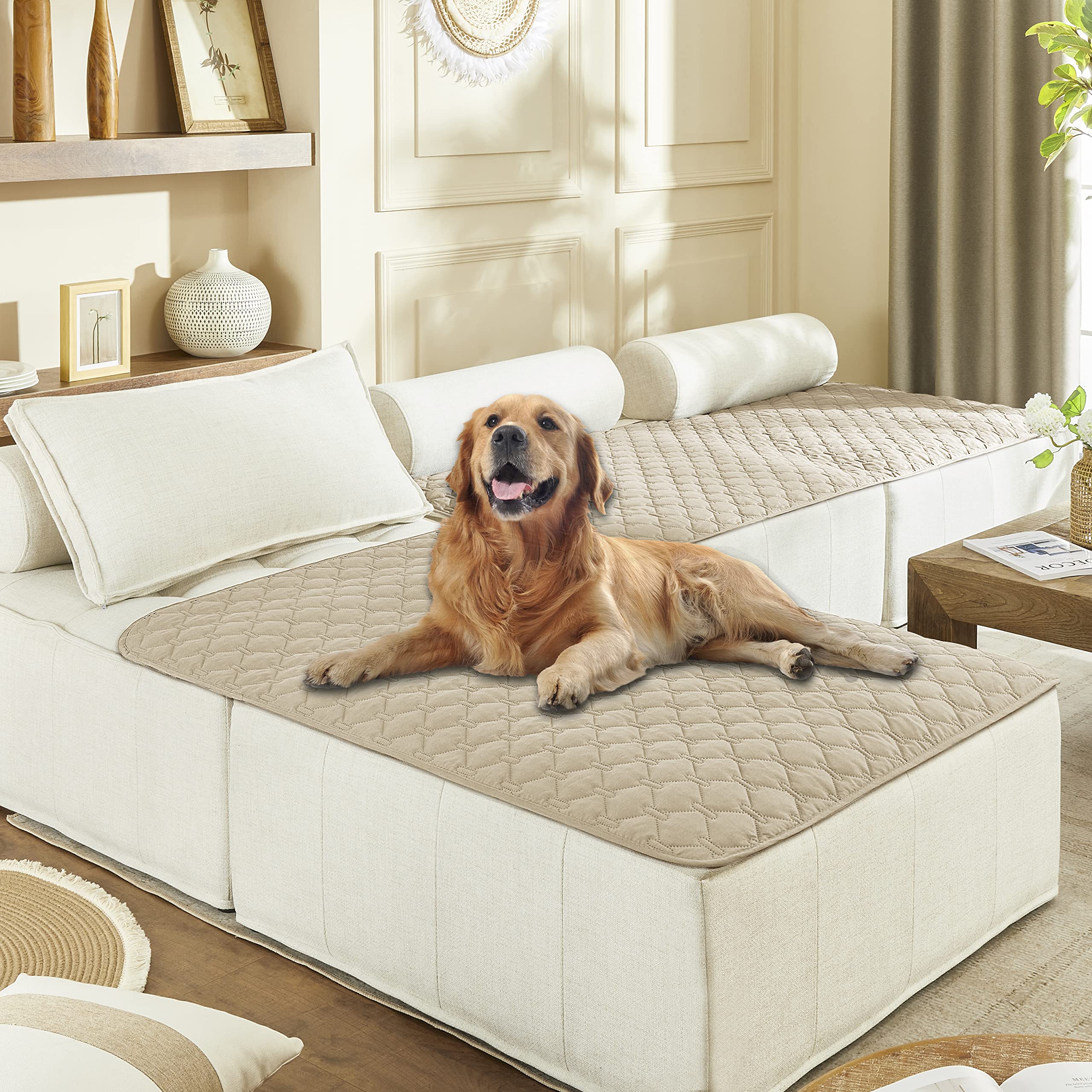 gogobunny waterproof dog bed cover protects sofa from spills and dirt