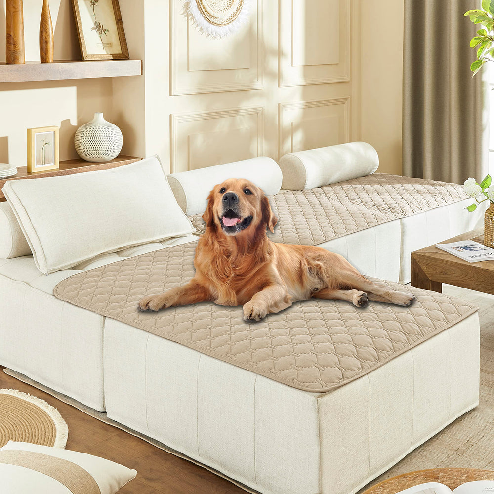 gogobunny waterproof dog bed cover protects sofa from spills and dirt