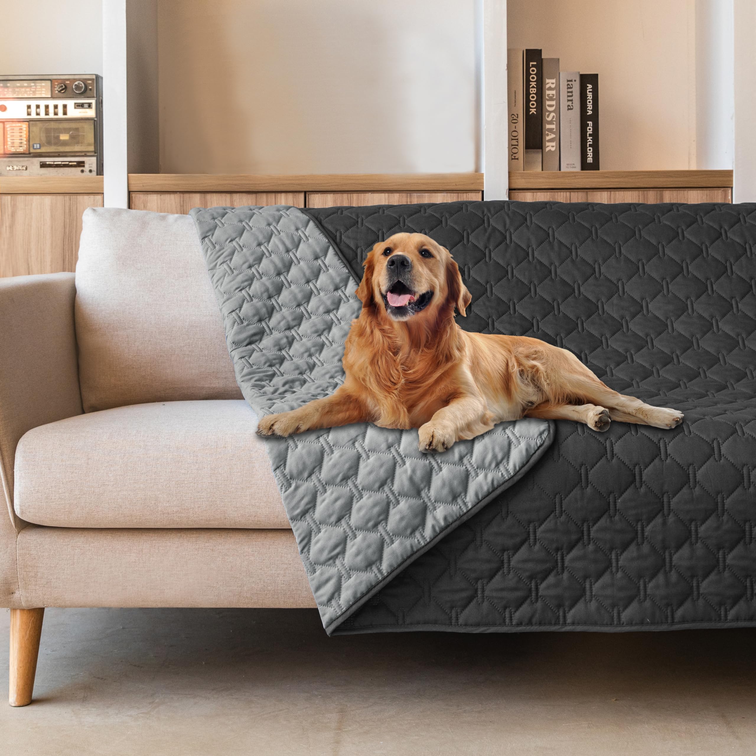 gogobunny waterproof dog blanket on sofa showing protective surface