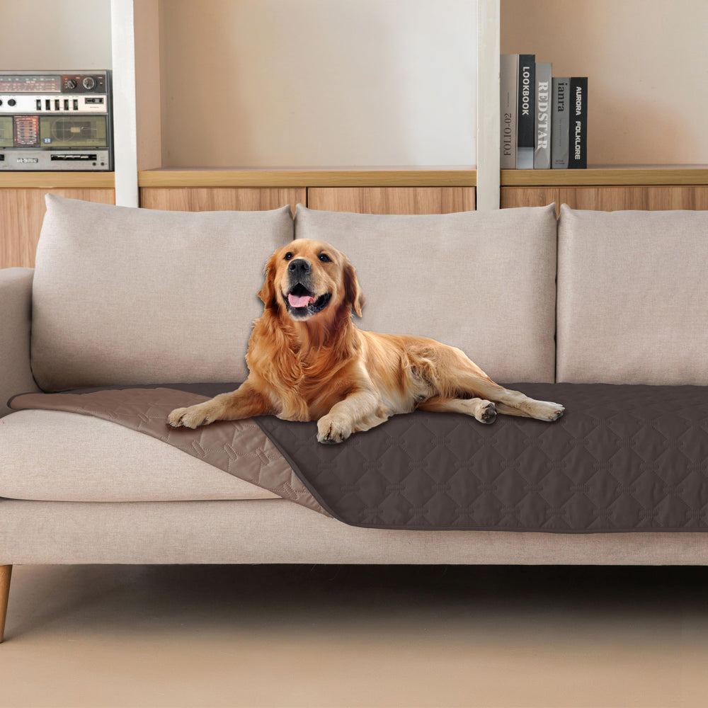 Gogobunny waterproof double-sided dog blanket protects furniture and pets.