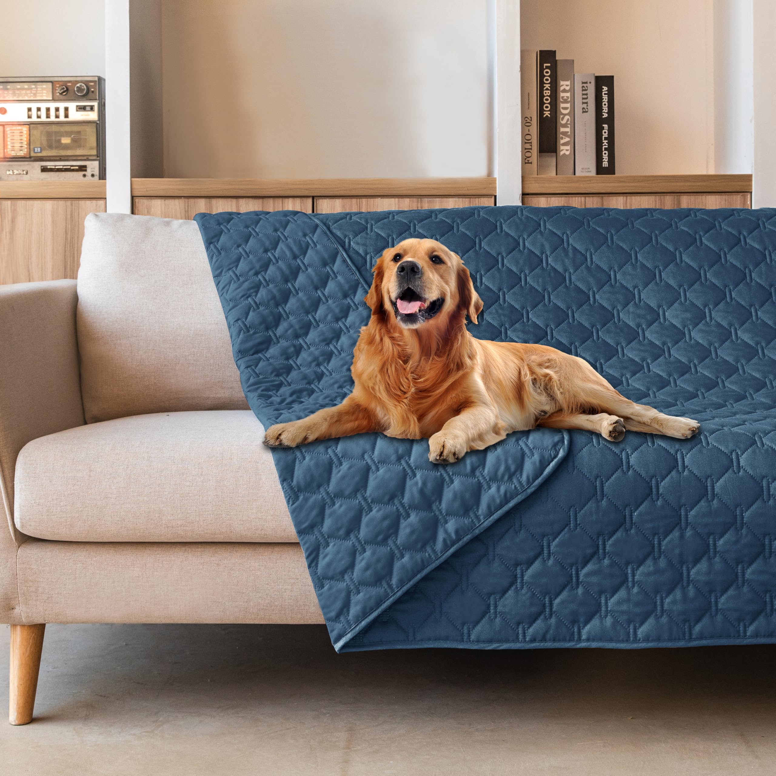 gogobunny waterproof pet blanket 68x82 inches protecting furniture from spills.