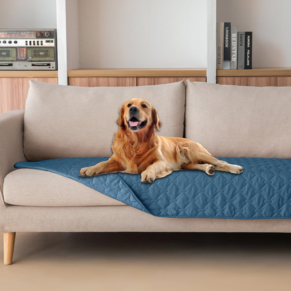 GoGoBunny waterproof pet blanket protecting sofa from paws and spills.