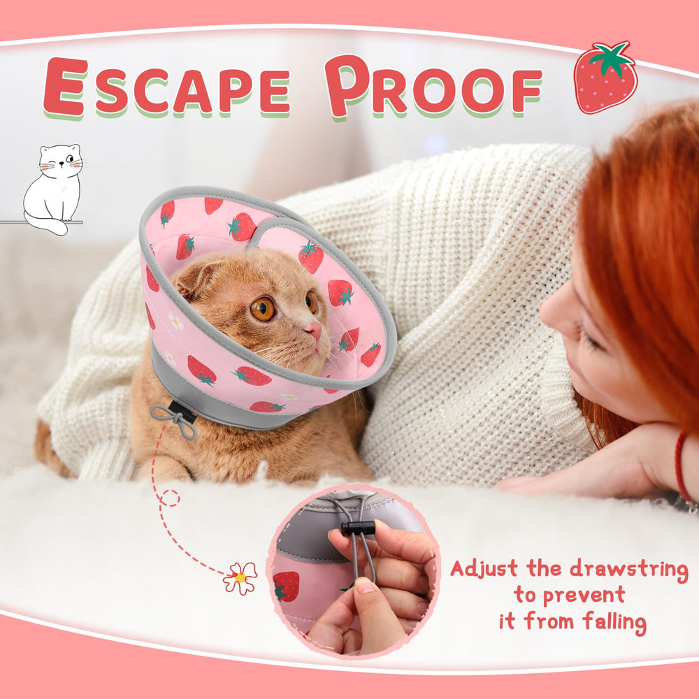 GoGoPaw design allows eating and drinking without removing the cone.