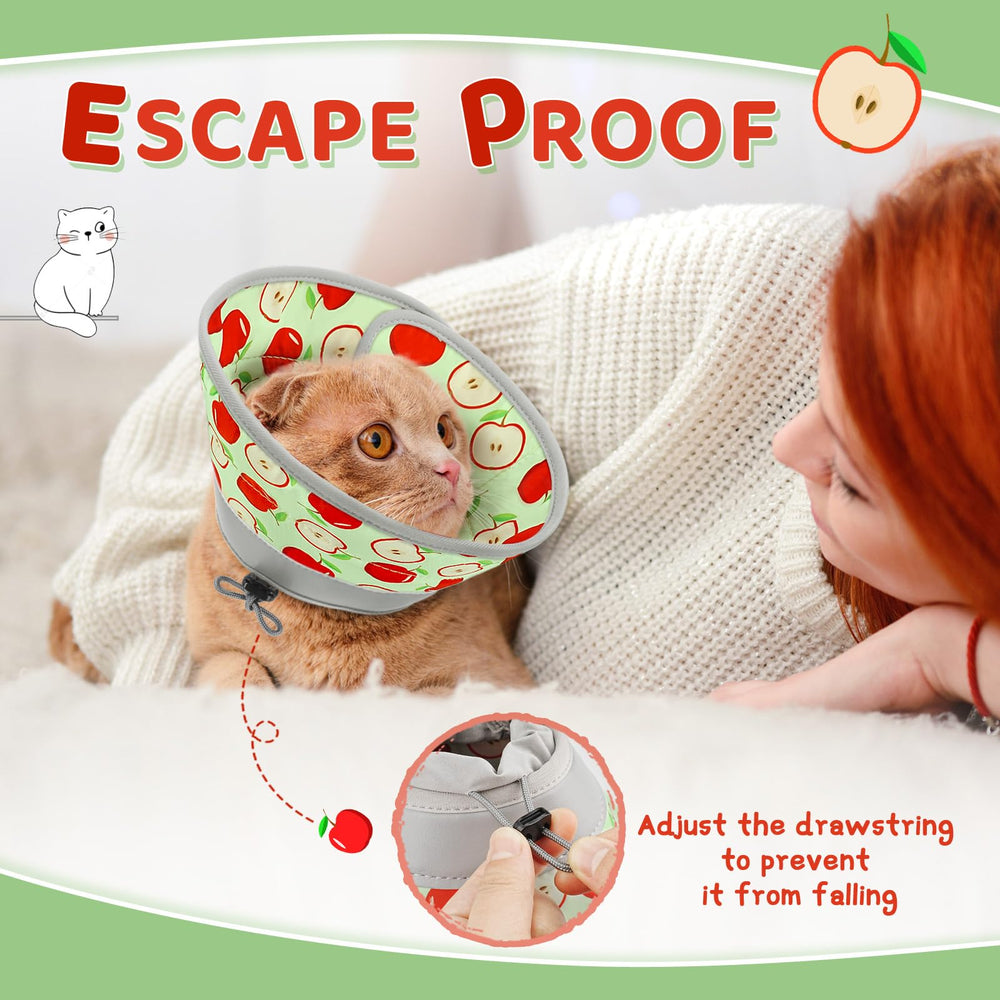 GoGoPaw escape-proof design keeps your cat safe during recovery