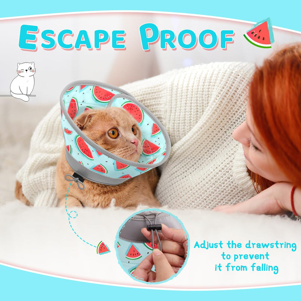 GoGoPaw soft cone strawberry pattern demonstrates playful style.