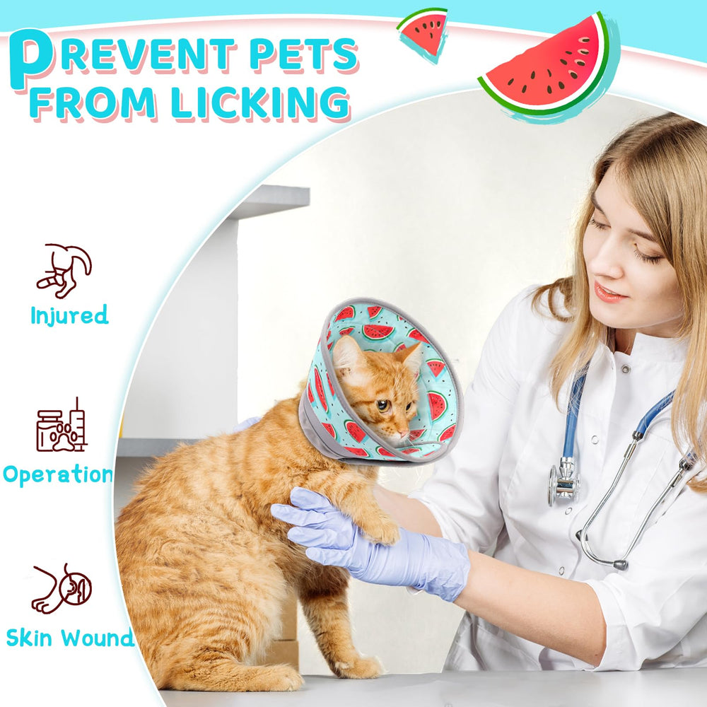 GoGoPaw watermelon pattern cone highlights fun option for kittens.