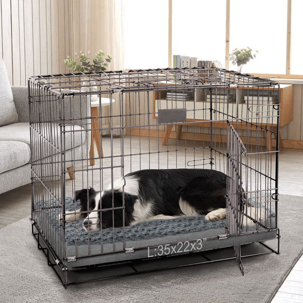 Gohoo Pet removable cover shows machine-washability for quick after-play cleanups