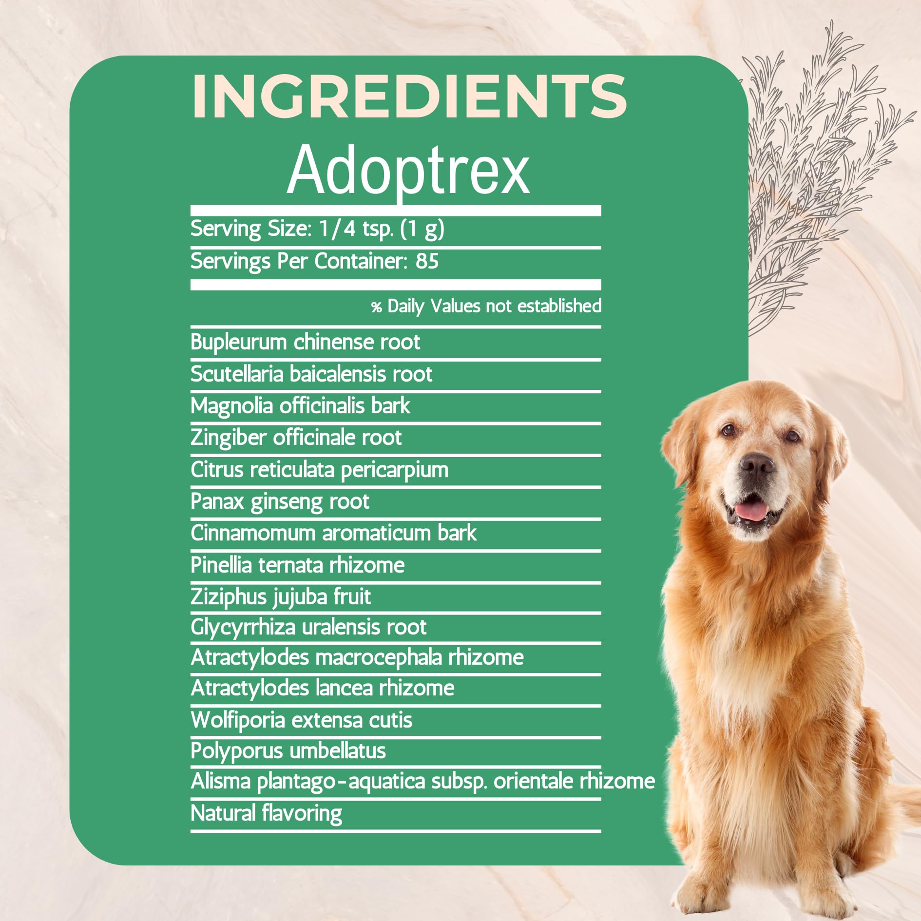 Gold Standard Herbs Adoptrex powder-dispense scoop for precise dosing