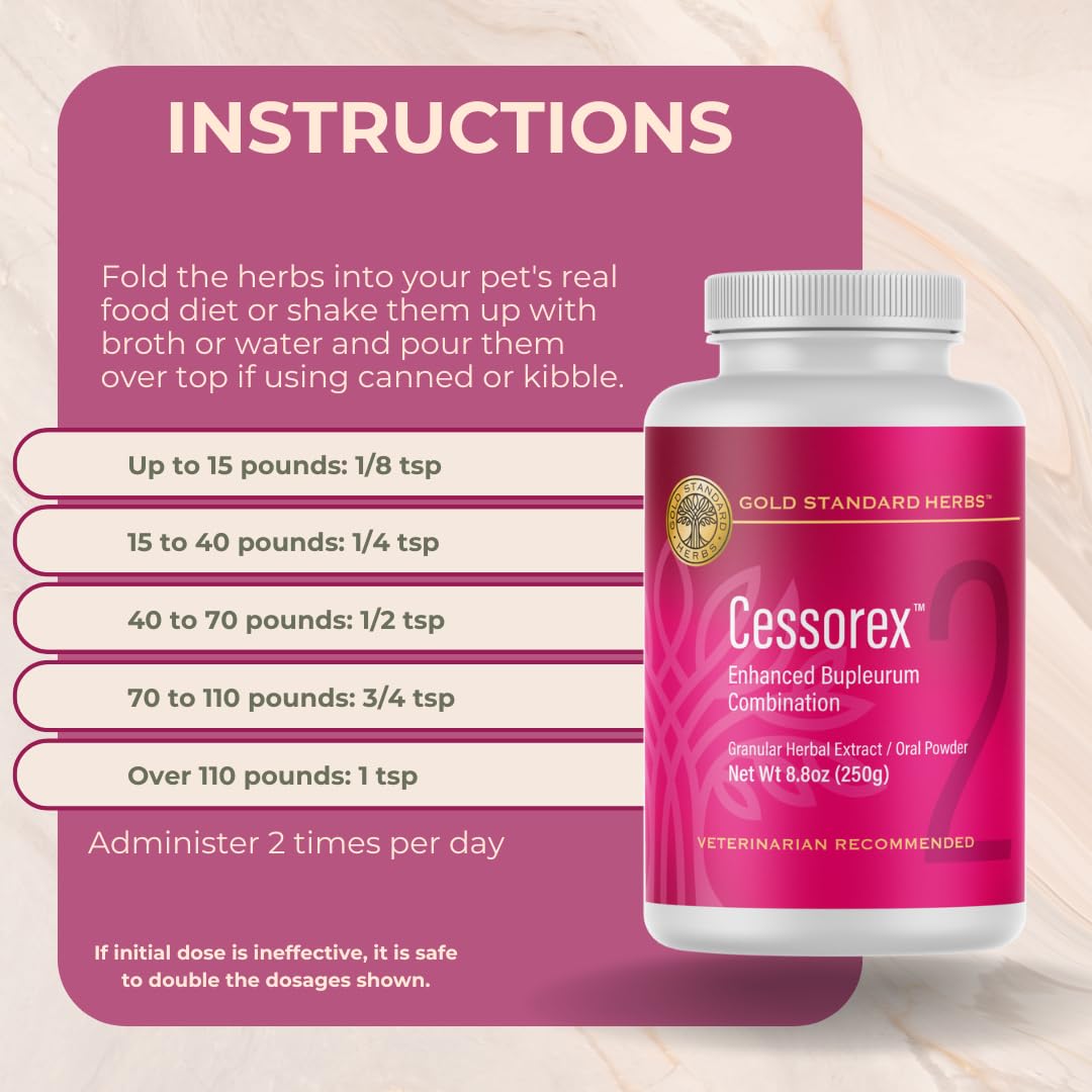 Cessorex measuring spoon ready for precise dog dosing