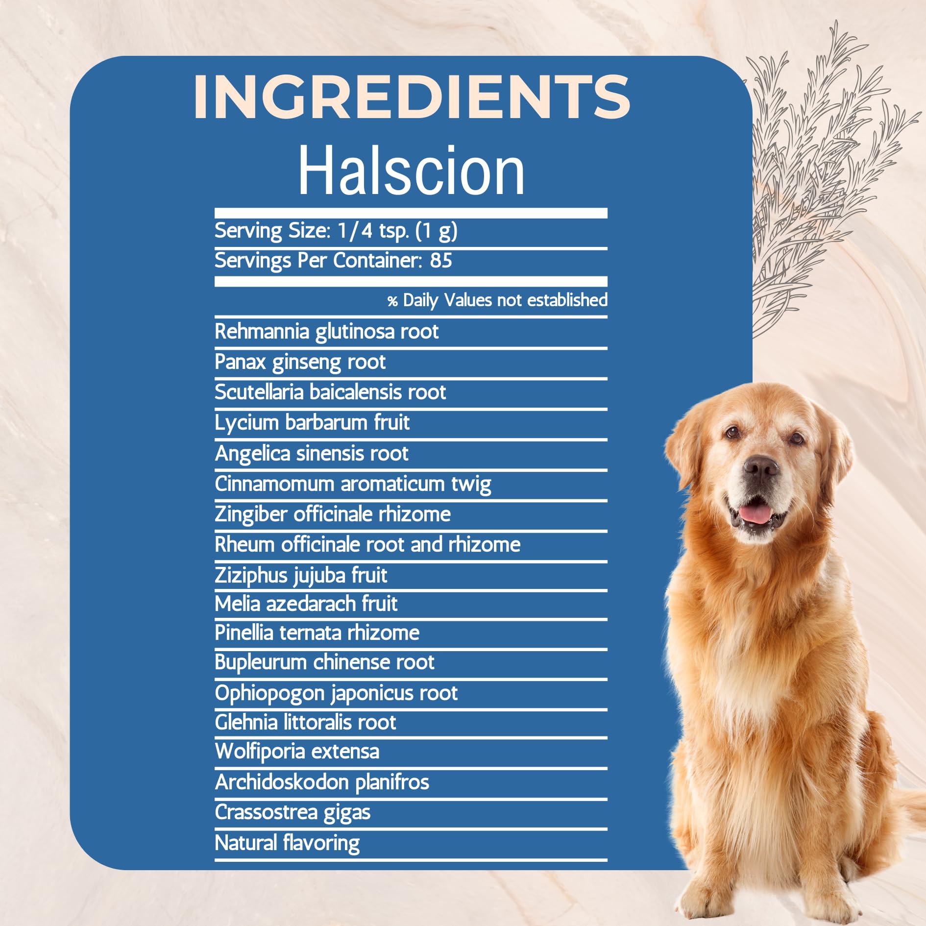 Spoon dispensing Halscion powder enables accurate daily dosing for pets.