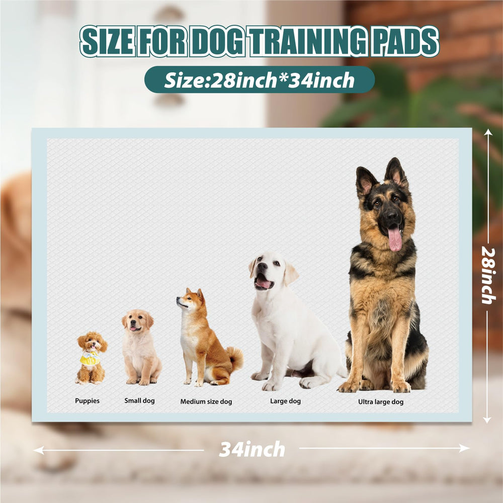 Gold Water Trading GWT Puppy Pads crate-coverage view on standard crate