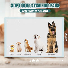 Gold Water Trading GWT Puppy Pads crate-coverage view on standard crate