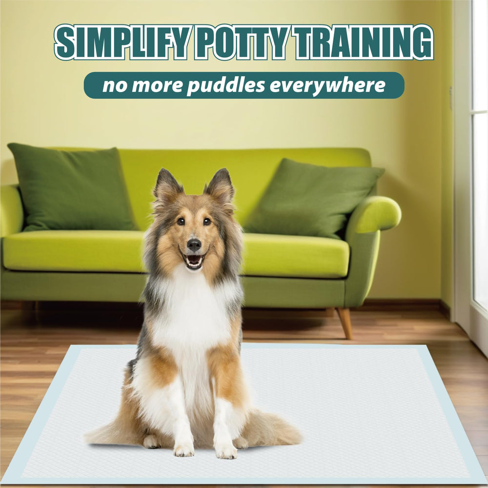 Gold Water Trading GWT Puppy Pads travel use setup in car or hotel
