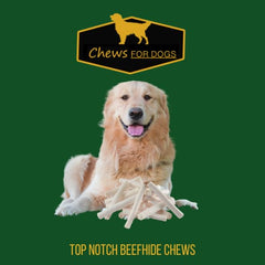 GOLDEN Chews collagen-rich formula may support joints and coat health during active days.