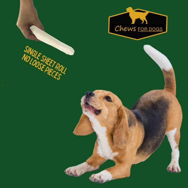GOLDEN Chews 20-pack offers convenience for daily chew sessions and training routines.