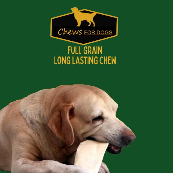 GOLDEN Chews dogs enjoying the treat, offering a satisfying chewy distraction.