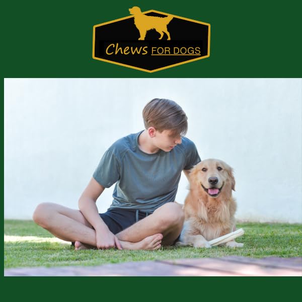 GOLDEN Chews free-range cattle roll emphasizes quality and natural texture for chewing satisfaction.